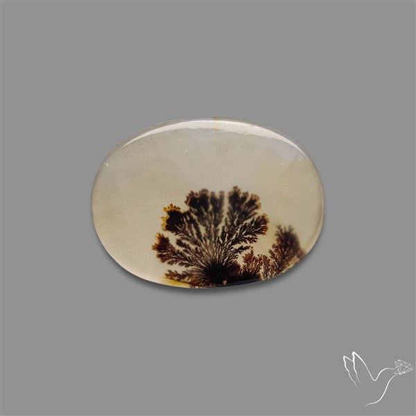 Scenic Agate Cabochon