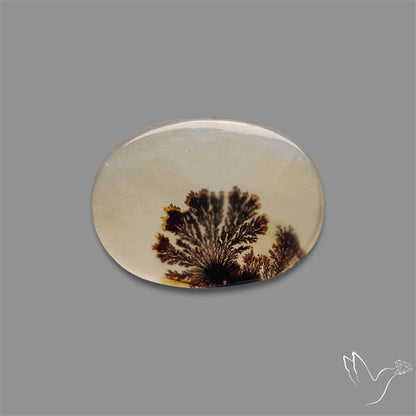 Scenic Agate Cabochon