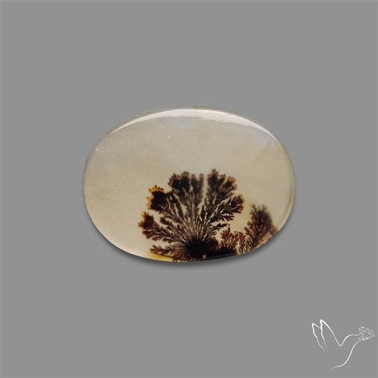 Scenic Agate Cabochon