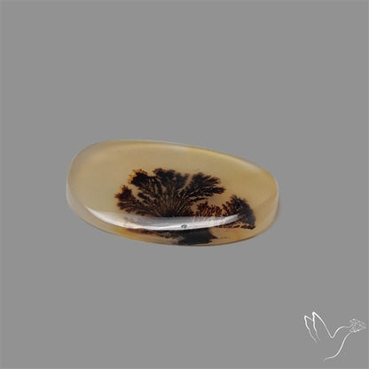 Scenic Agate Cabochon