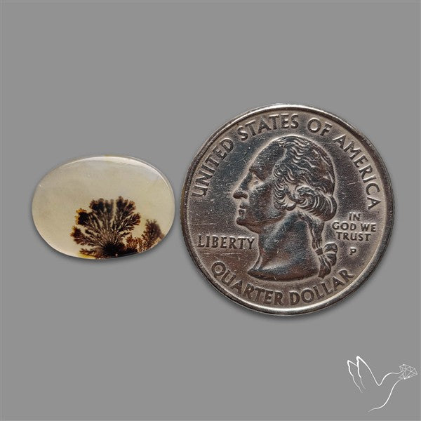 Scenic Agate Cabochon