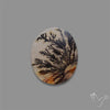 Scenic Agate Cabochon