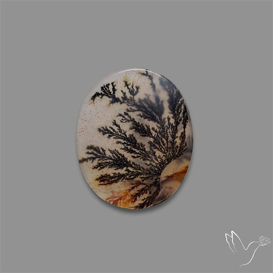Scenic Agate Cabochon