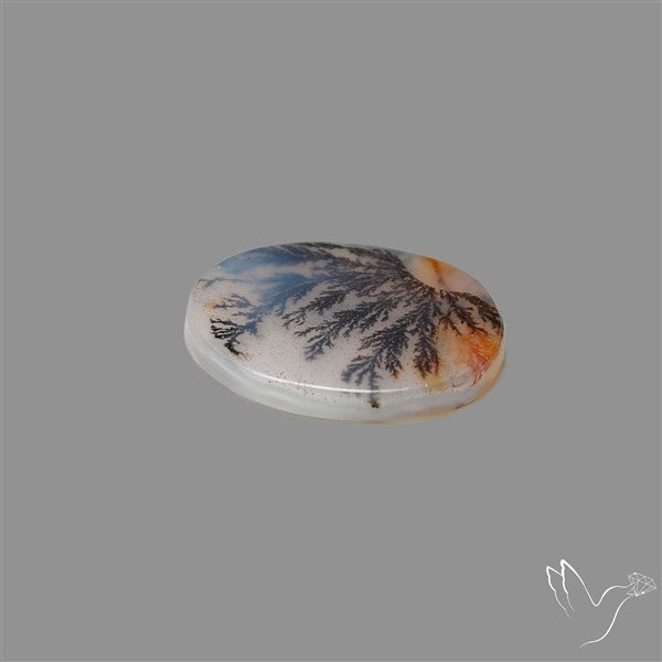 Scenic Agate Cabochon