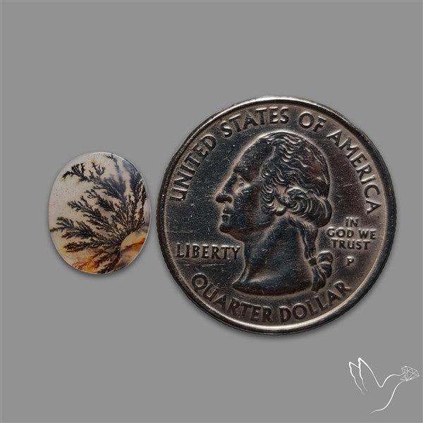 Scenic Agate Cabochon