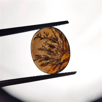Scenic Agate Cabochon