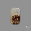 Scenic Agate Cabochon
