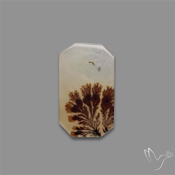 Scenic Agate Cabochon