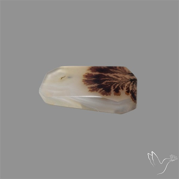 Scenic Agate Cabochon