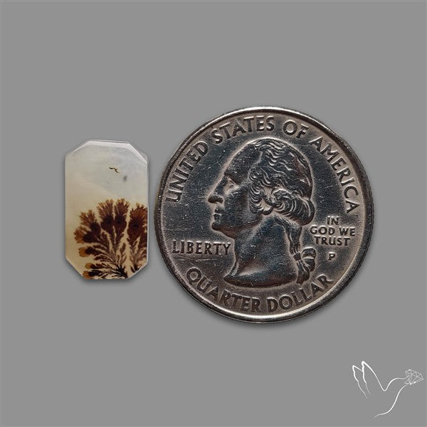 Scenic Agate Cabochon
