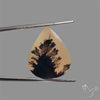 Scenic Agate Cabochon
