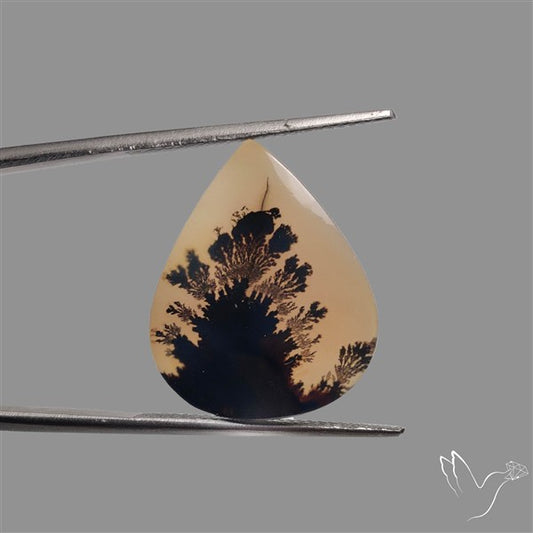 Scenic Agate Cabochon