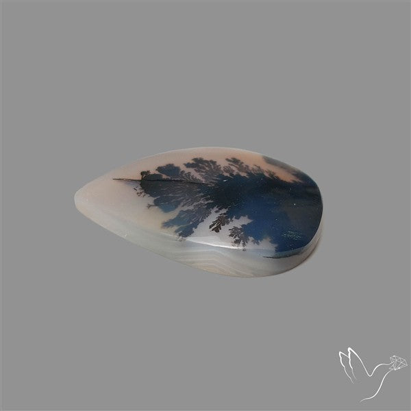 Scenic Agate Cabochon