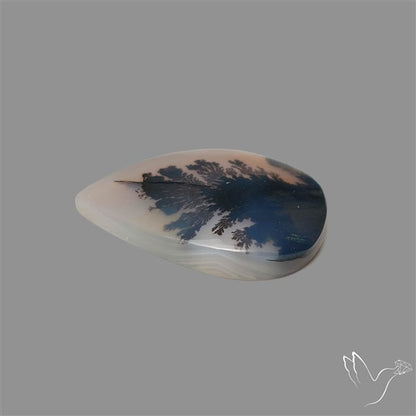 Scenic Agate Cabochon