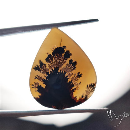 Scenic Agate Cabochon