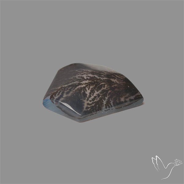 Scenic Agate Cabochon