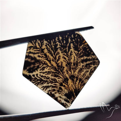 Scenic Agate Cabochon