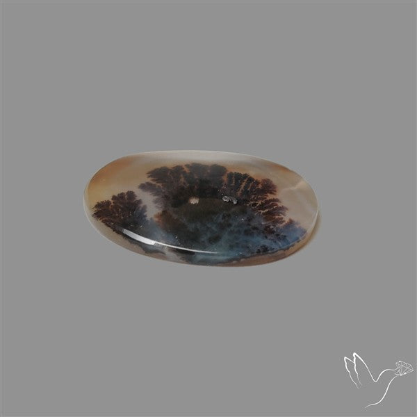 Scenic Agate Cabochon