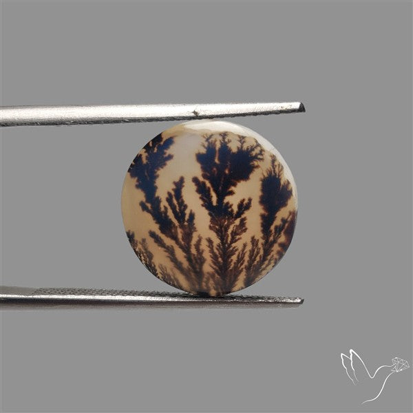 Scenic Agate Cabochon