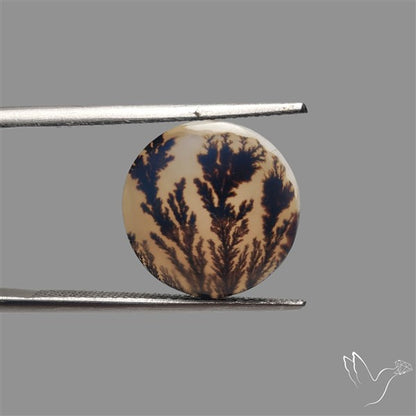 Scenic Agate Cabochon