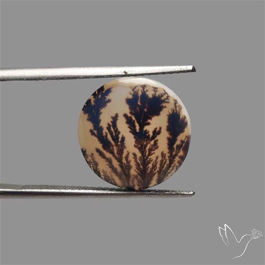 Scenic Agate Cabochon