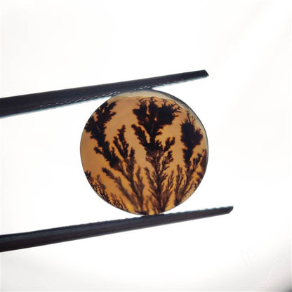 Scenic Agate Cabochon