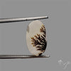 Scenic Agate Cabochon