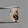 Scenic Agate Cabochon