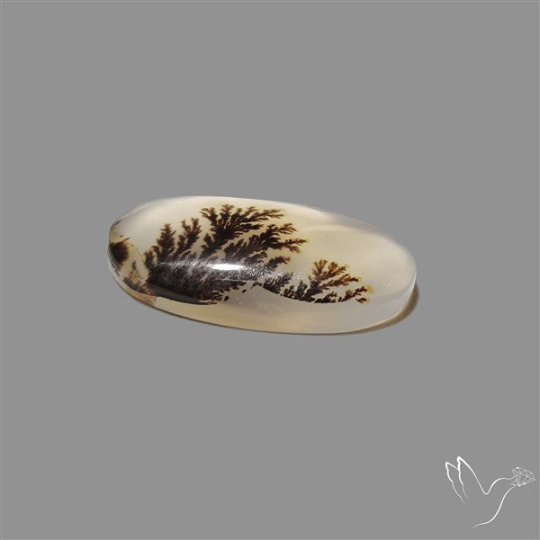 Scenic Agate Cabochon