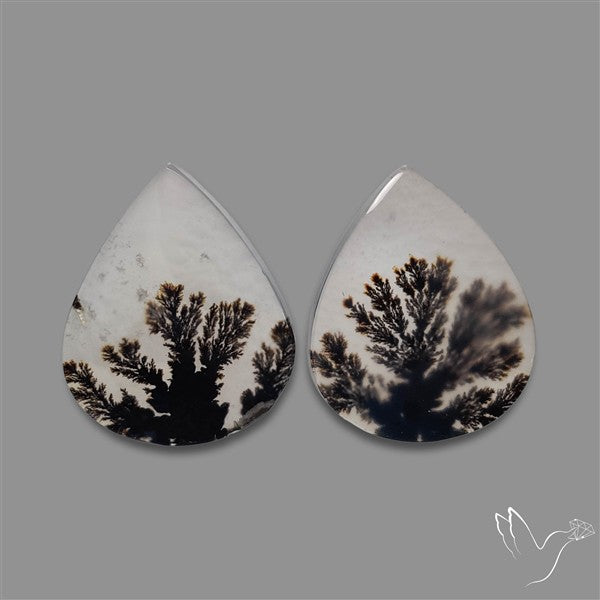 Rare Scenic Agate Pair
