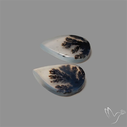 Rare Scenic Agate Pair