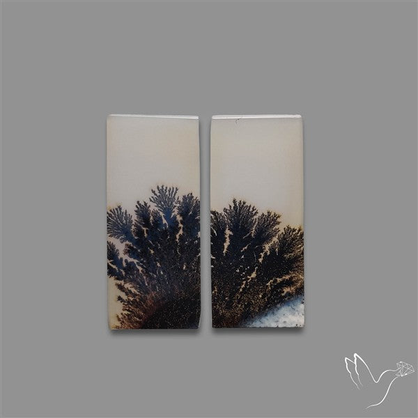 Rare Scenic Agate Pair