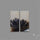 Rare Scenic Agate Pair