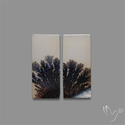 Rare Scenic Agate Pair
