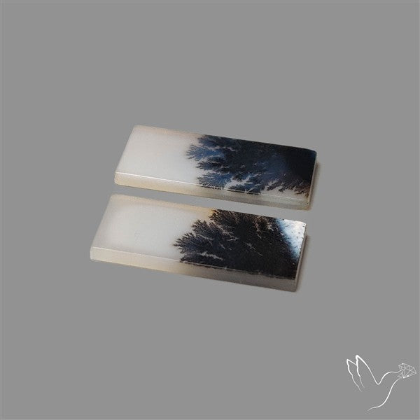 Rare Scenic Agate Pair