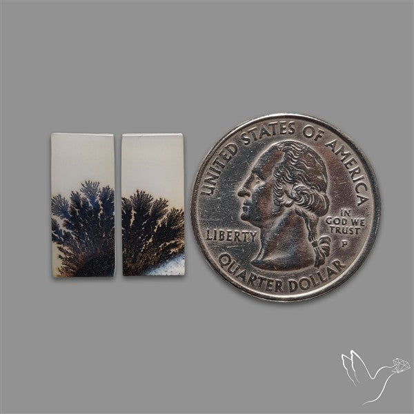 Rare Scenic Agate Pair