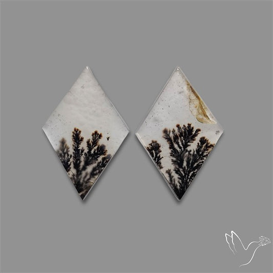 Rare Scenic Agate Pair