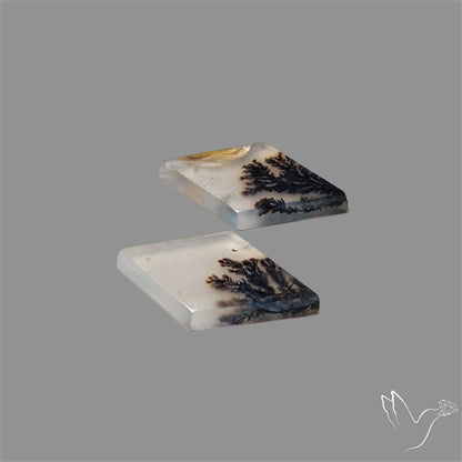 Rare Scenic Agate Pair