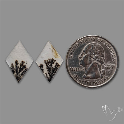 Rare Scenic Agate Pair