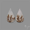 Rare Scenic Agate Pair