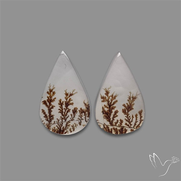 Rare Scenic Agate Pair