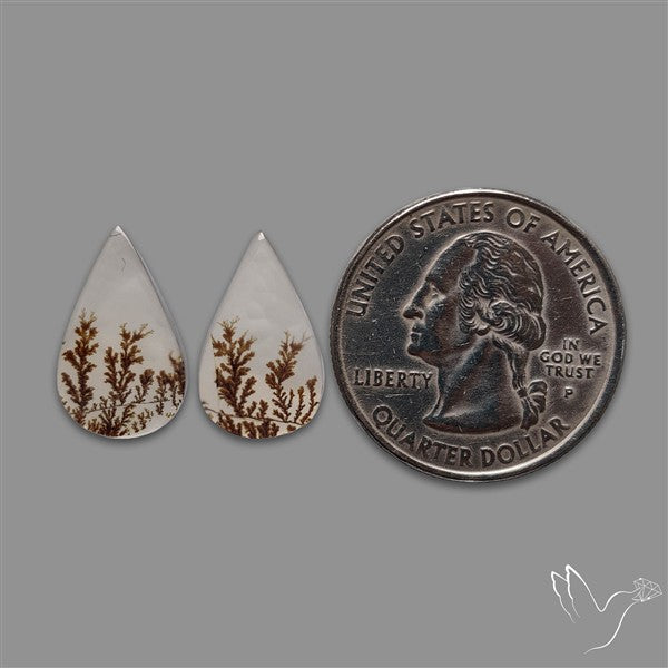 Rare Scenic Agate Pair