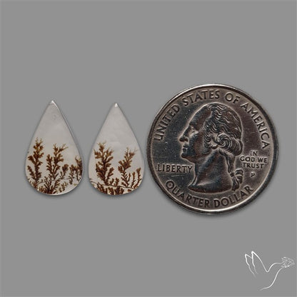Rare Scenic Agate Pair
