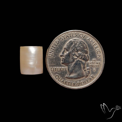Fresh Water Pearl Cabochon