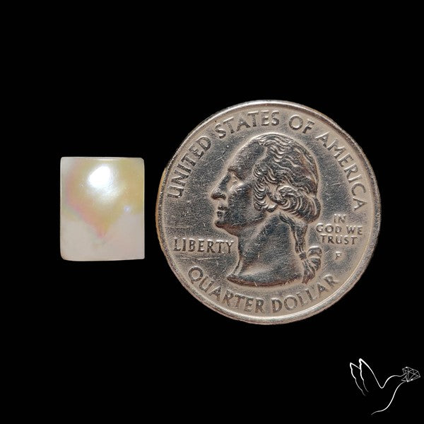 Fresh Water Pearl Cabochon