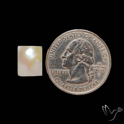 Fresh Water Pearl Cabochon