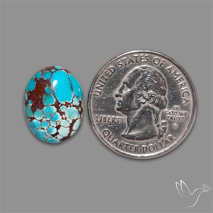 Rare Egyptian Turquoise Cabochon from Sinai Peninsula