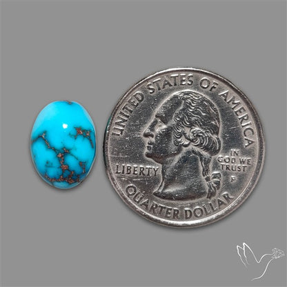Rare Egyptian Turquoise Cabochon from Sinai Peninsula