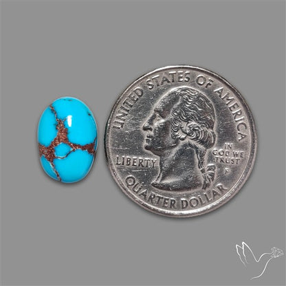 Rare Egyptian Turquoise Cabochon from Sinai Peninsula