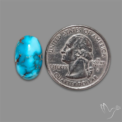 Rare Egyptian Turquoise Cabochon from Sinai Peninsula